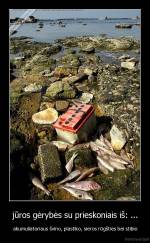 jūros gėrybės su prieskoniais iš: ... - akumuliatoriaus švino, plastiko, sieros rūgšties bei stibio