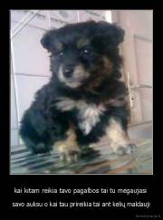 kai kitam reikia tavo pagalbos tai tu mėgaujasi  - savo auksu o kai tau prireikia tai ant kelių maldauji