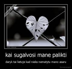 kai sugalvosi mane palikti - daryk tai lietuje kad nieks nematytu mano asaru