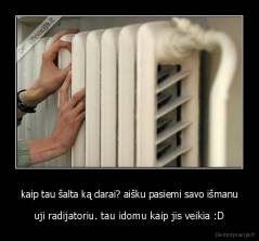kaip tau šalta ką darai? aišku pasiemi savo išmanu - uji radijatoriu. tau idomu kaip jis veikia :D