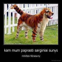 kam mum paprasti sarginiai sunys - rinkites tikrasuny