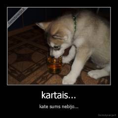 kartais... - kate sums nebijo...