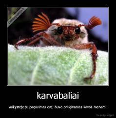 karvabaliai - vaikysteje ju pagavimas ore, buvo priliginamas kovos menam.