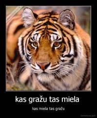 kas gražu tas miela  - kas miela tas gražu