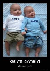 kas yra  dvynei ?! - ats: copy-paste