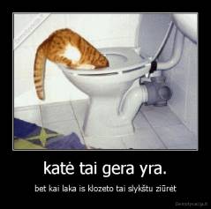 katė tai gera yra. - bet kai laka is klozeto tai slykštu ziūrėt