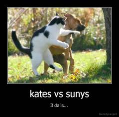 kates vs sunys - 3 dalis...
