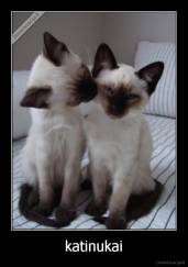 katinukai - 