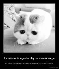 kiekvienas žmogus turi ką nors mielo savyje - kol neatėjo vasara tada tas mielumas dingsta ir atsiranda linksmumas