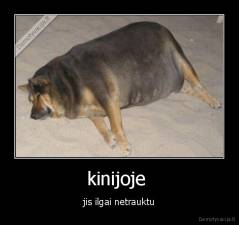 kinijoje  - jis ilgai netrauktu