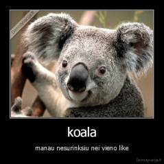 koala - manau nesurinksiu nei vieno like