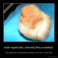 kodėl negalit įkelt į internetą filmą nuostabioji  - kodėl negalit įkelt į internetą filmą nuostabioji su čeki čanu ir mirties kelias