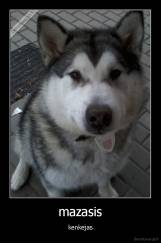 mazasis - kenkejas