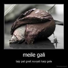 meile gali - taip pat greit nuvysti kaip gele