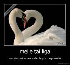 meile tai liga - isimylim-skiriames kodel taip yr tarp meiles