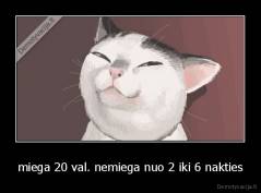 miega 20 val. nemiega nuo 2 iki 6 nakties - 