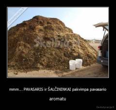 mmm... PAVASARIS ir ŠALČININKAI pakvimpa pavasario - aromatu