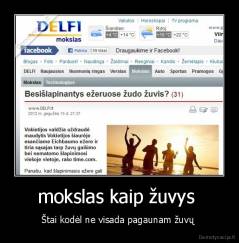 mokslas kaip žuvys  - Štai kodėl ne visada pagaunam žuvų 