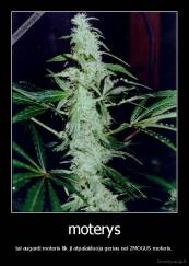 moterys - tai auganti moteris tik ji atpalaiduoja geriau nei ZMOGUS moteris.