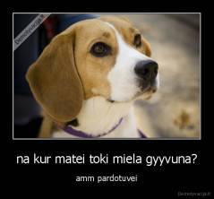 na kur matei toki miela gyyvuna? - amm pardotuvei