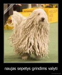 naujas sepetys grindims valyti - 