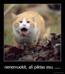nenervuokit, aš piktas esu ..... - 