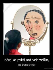 nėra ko pykti ant veidrodžio, - kad snukis kreivas