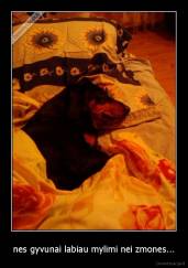 nes gyvunai labiau mylimi nei zmones... - 