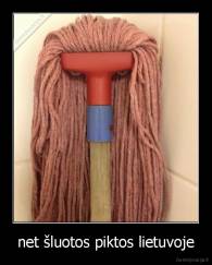 net šluotos piktos lietuvoje - 