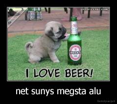 net sunys megsta alu - 