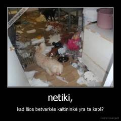 netiki, - kad šios betvarkės kaltininkė yra ta katė?