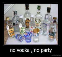 no vodka , no party - 