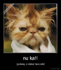 nu ka!! -  juokeisi, o dabar tavo eile!