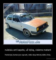 nuleisiu ant kapoto, už dyką, visiems matant - Pardavėjai, kartais juos suprasti, reikia daug lietuvių kalbos žinių.