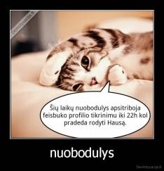nuobodulys - 