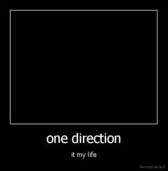 one direction - it my life