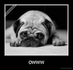 owww - 