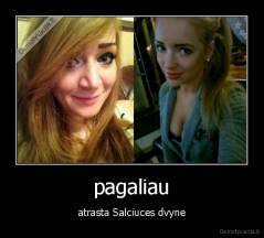pagaliau - atrasta Salciuces dvyne