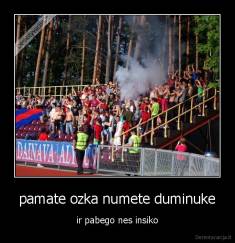 pamate ozka numete duminuke - ir pabego nes insiko