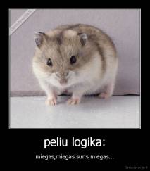 peliu logika: - miegas,miegas,suris,miegas...