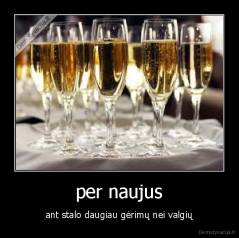 per naujus - ant stalo daugiau gėrimų nei valgių