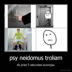 psy neidomus troliam - tik pries 5 sekundes suzinojau