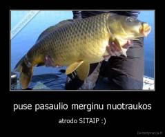 puse pasaulio merginu nuotraukos - atrodo SITAIP :)