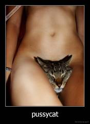 pussycat - 