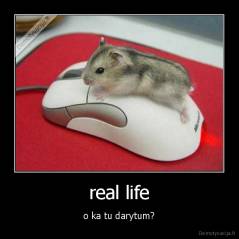 real life - o ka tu darytum?