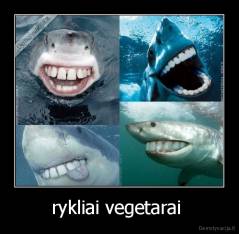 rykliai vegetarai  - 