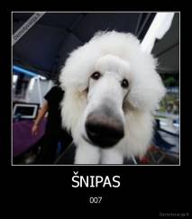 ŠNIPAS - 007