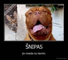 ŠNIPAS - jis visada su tavimi.