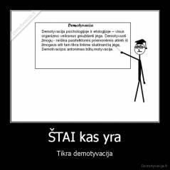ŠTAI kas yra - Tikra demotyvacija