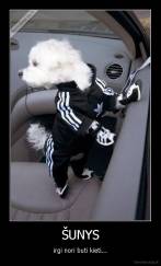 ŠUNYS - irgi nori buti kieti...